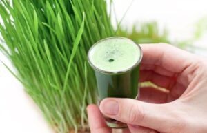 wheatgrass