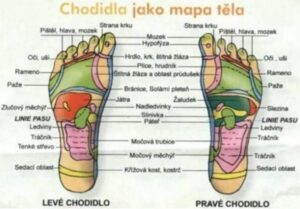 chodidla