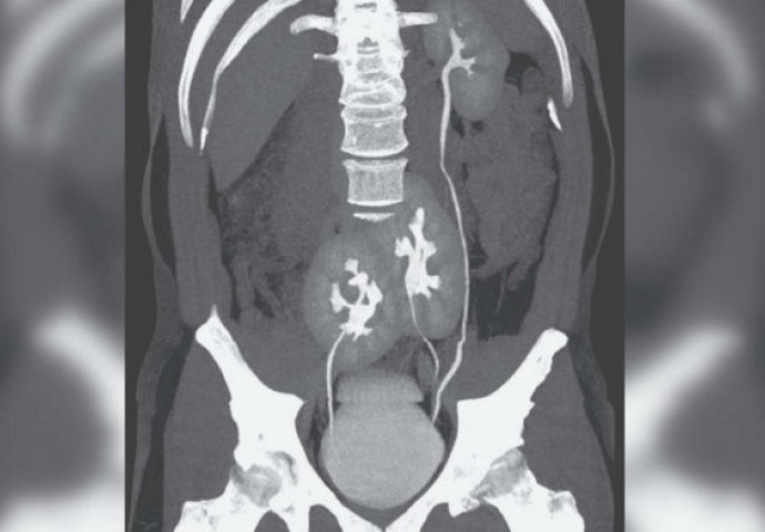 f4df976d 3890 4e9c a79f 5e4d4edafcca