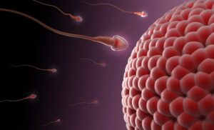 nbvnbvnbv 2 860x522 1