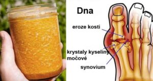 28d9ec9e f30f 4c02 b5c2 ae953c27164a