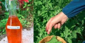 83819aa3 c42a 4c6f 9a96 0755eb84670b