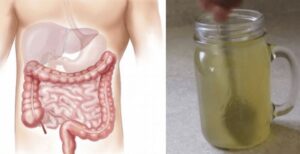 b7b878e1 1d7a 4fa8 b698 2ff4c22ab590