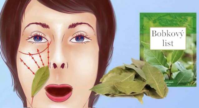 bobkovy list 1