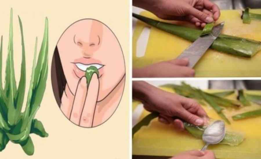 69031d8c b24a 41cb 813d 8e5fbb7fa87d