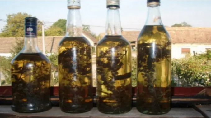 recept na krecove zily