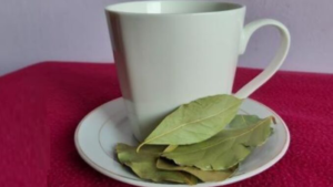 Čaj z bobkového listu