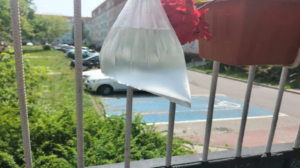 Jak se zbavit much a komárů