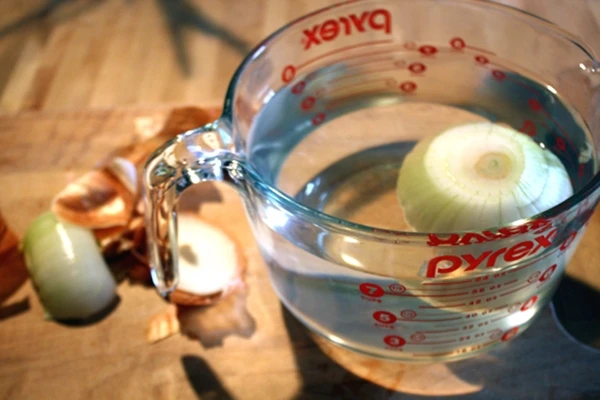onion in water