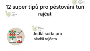 tipy na pestovani 1