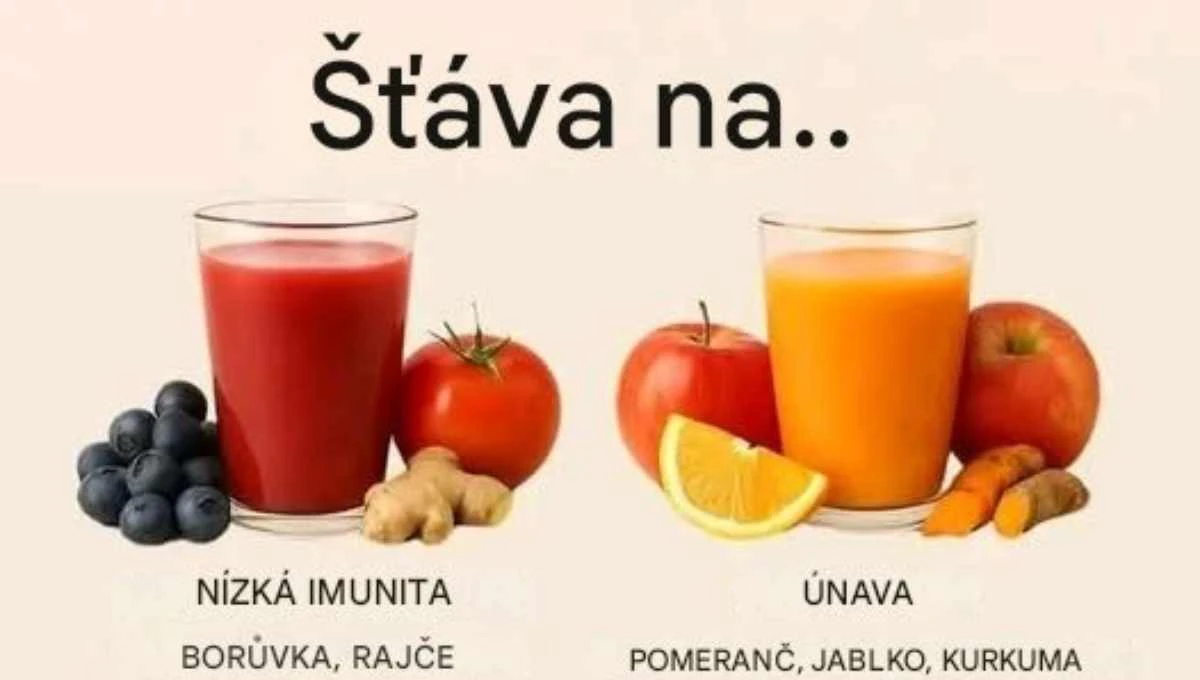 stava 1