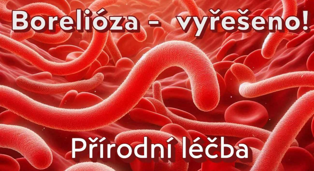 borelioza 1