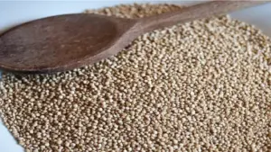 Bez nazvu 23 8 678x381 1