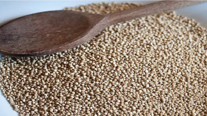 Bez nazvu 23 8 678x381 1