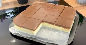 Nepečený krémový dort